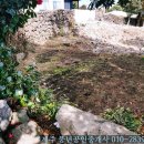 상효동-2 이미지