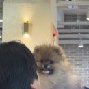 분당-48 | 컬컴후기 분당영어회화스터디 48회차