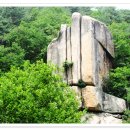 황정리 대흥사 위 이미지