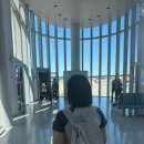 적당한 날 | 이탈리아| 티웨이 인천-로마, 피우미치노 역-테르미니 역 가는법, 잠만 자기 적당한 Hotel Artromano 후기