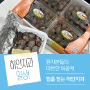 행복한미소치과 - 강북구 솔샘로 216 | 독산역치과 환자분들의 따뜻한 마음에 오늘도 힘을 얻는 하안치과 후기💙