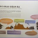 독도박물관 이미지