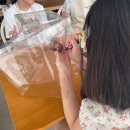 388 | [공지] 용인 어린이 키즈 플라워 클래스 후기, 방학특강, 원데이클래스 추천, 메종드388