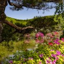 다도박물관 이미지