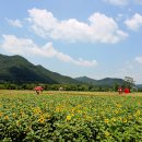 황산공원 이미지