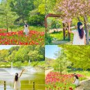 꿈땅숲어린이집 | 군포 초막골생태공원 주차 튤립 산본 놀거리