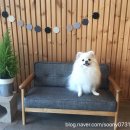 멍스토리 네이버블로그