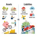 IL 소프트웨어 | 영어로 자산 / 애셋 asset, assets, assez 뜻, 차이, 어원