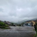 아침봄빵집 이미지