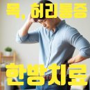 탑으뜸한의원 | 잠 잘못자서목 뻐근, 어깨 허리통증 아플 때 고강동한의원 으로