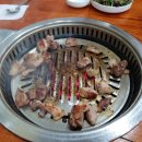 강원멧돼지식당