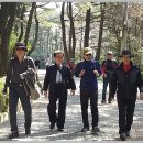 몰운대 시비 이미지