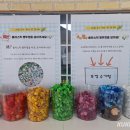 교동초교병설유치원 이미지