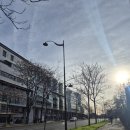 편작하우스 | #24 WEEK 14 파리 일상 근데 파쇄를 곁들인