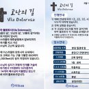 (주보)2024년 3월 셋째주일(0317) 주보 이미지