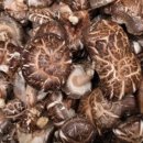 혜성농장 이미지