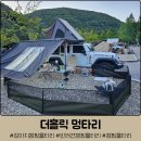 강아지 캠핑 울타리 추천 &#39;더홀릭 멍타리&#39; 내돈내산 리얼 후기