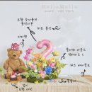 헬로, 멜로 | {강아지생일파티}강아지생일상대여 야외생일파티 헬로멜로 플라워가든 미니버전 후기