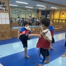 신영태비태권도 이미지