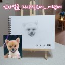 도로잉 이미지