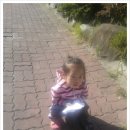 엠알아이 이미지