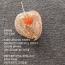 동물농장 이미지