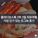 [쿠엔] 블라디보스톡 2박 3일 자유여행, 한국인에게 가장 인기 있는 오그뇩(아가뇩) 후기