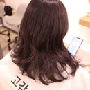 쁘띠헤어 이미지