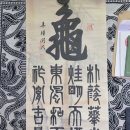 천지화우 네이버블로그