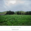 소나무 한우 목장 이미지