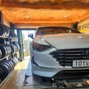 타이어사자 이미지