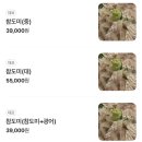 섬이자카야 이미지