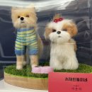 서재 흰둥이네 이미지