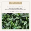 명화축산 이미지