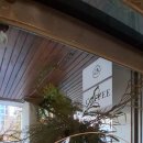 카페모나 이미지