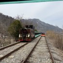 원바이크 | 김유정역 레일바이크 2인 후기｜5만원 세트 솔직 리뷰 + 꿀팁 총정리