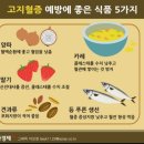 퍼빈 이미지
