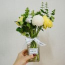 에이치블랑(H.BLANC) 이미지