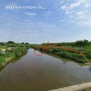 망성금지보건진료소 | [블챌 1주차] | 낚시 초보의 충북 덕산 낚시 포인트 후기🎣(신척지, 미호천 붕어•잉어 낚시)