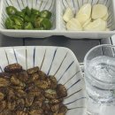 초심수산 | 두류동 횟집, 내 애정 하던 단골집의 배신... 초심 잃은 '불로회수산 직영점' 내돈내산 솔직/아쉬운 후기