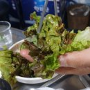 돈사돈가음정점 네이버블로그