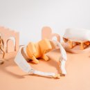 와이즈웰 이미지