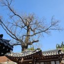 해공미술관 이미지