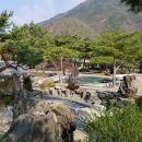 송림펜션 | 정원에서 산책도 할 수 있는 |충주 펜션| 송림 농원 펜션 방문 후기