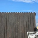 더 레이크 서지 이미지