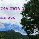 금오산도립공원 Daum카페