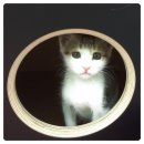 구로종합동물병원 이미지