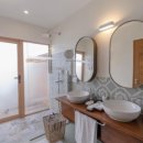 아일랜드코쿤 이미지