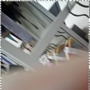 수원-0614 네이버블로그