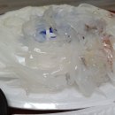 제주바당 이미지